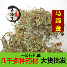 马蹄金中药材荷包草黄胆草马蹄金小金钱草 螺丕草小马蹄草一公斤