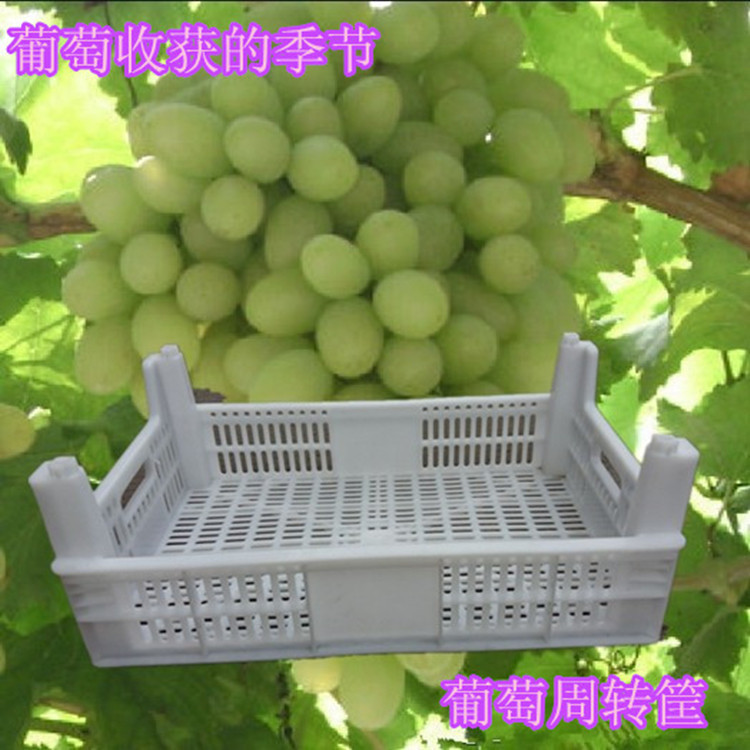 塑料葡萄筐葡萄周转筐葡萄运输筐塑料筐水果筐草莓筐桃筐收纳箱白