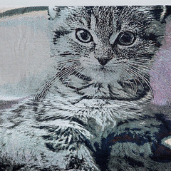 四季通用客廳布沙發罩巾全蓋布沙發墊現代簡約沙發套全包萬能套貓