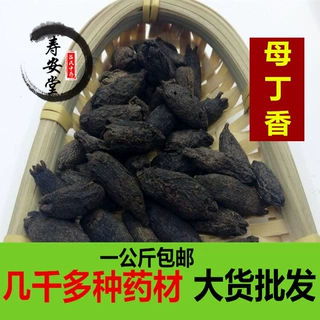 母丁香中药材一公斤鸡舌香 亭炅独生 雌丁香 特级无硫香料母丁香