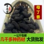 一公斤特级无硫中药材母丁香