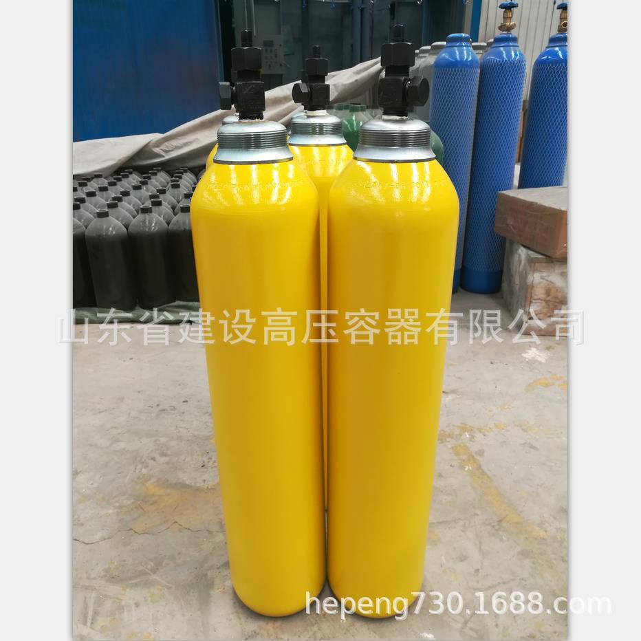 电询10升液氨钢瓶 CL2气瓶 钢瓶NH3 10升液氯钢瓶