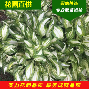 ���~�����������l�^�~�޸��ݱ�ֲ�ﲨ�~����ͥԺ�G�����̵ر�����