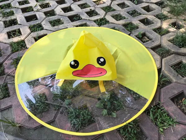 B.Duck, yellow raincoat