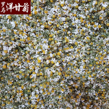 2025�»����w����ʾջ���500�� ����ʾջ��ݲ��������l