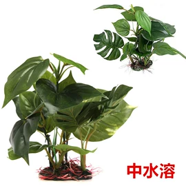 造景/装饰;其它水族用品;鱼缸清洁用具