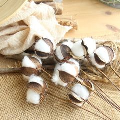 Dried Flower Cotton Branches, Natural Artificial Flowers Manufacturer – Home Decor, Wedding Hand Bouquets, and Wall Decorative Fake Flowers – MW61101