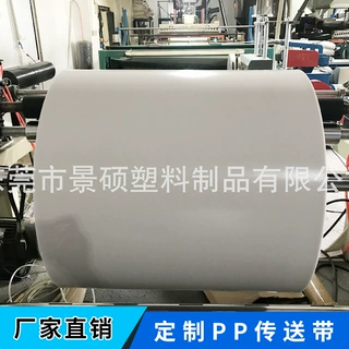 厂家定制清粪带PP畜牧养殖输送带自动化清粪设备鸡鸭兔用pp清粪带