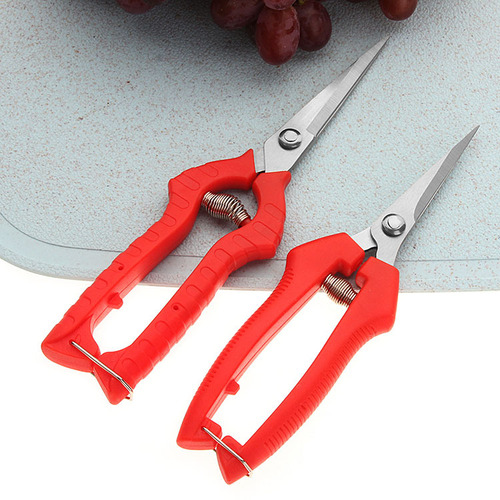 Gardening pruning shears, fruit picking, flower pruning, thin fruit pepper picking, grape fruit gardening agricultural fruit tree scissors, branch shears