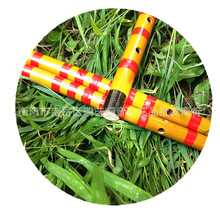 �Q�ѵ��ӌWУ�̌W�����ι���Ѻ���ͯ�����׌W�����h�����߹��b��