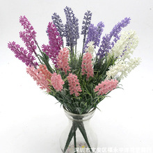 �S�ҹ�������޹�²� ֲë��@�L���bѻ� �Gֲ �廨�@ˇ ��c