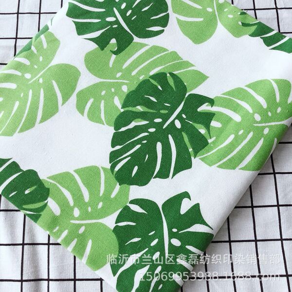 Cloth