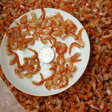 �t�����l�������r��؛�����r�ʼt�r�׺��aƷ�V�����r���� ���˓Q