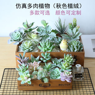 Production of implanted succulent plant simulation flower head flower arrangement accessories fake succulent plastic flower decorative plant potted plants