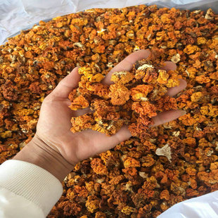 ������X������خa�S��Ҏ��2.0����С̖ʳ�þ����l