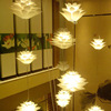 Ceiling lamp for living room for bedroom, coffee decorations, Amazon