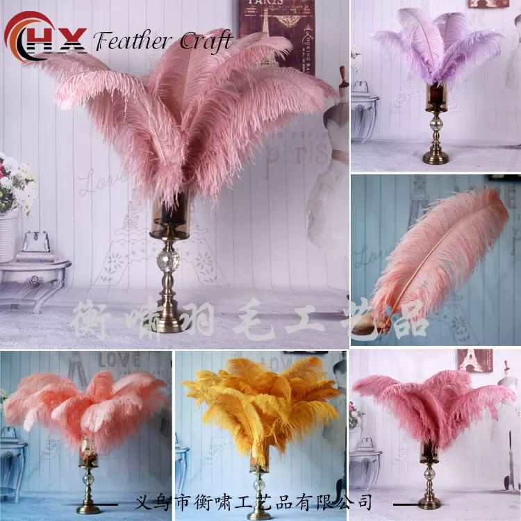 15-70cm优质鸵鸟毛染色大驼鸟羽毛家居装饰服装店摆件婚庆羽毛