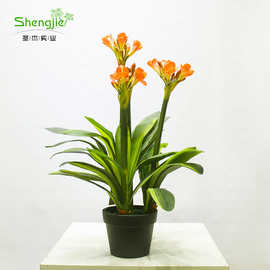 仿真君子兰盆栽办公室家居桌面绢布假花装饰绿植假兰花植物可批发