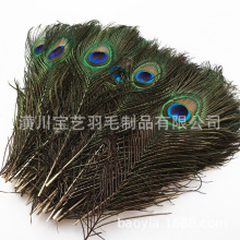 25-30���׿�ȸë �Ʒ��ë�b���ë �ҾӲ廨��̨���b��ë