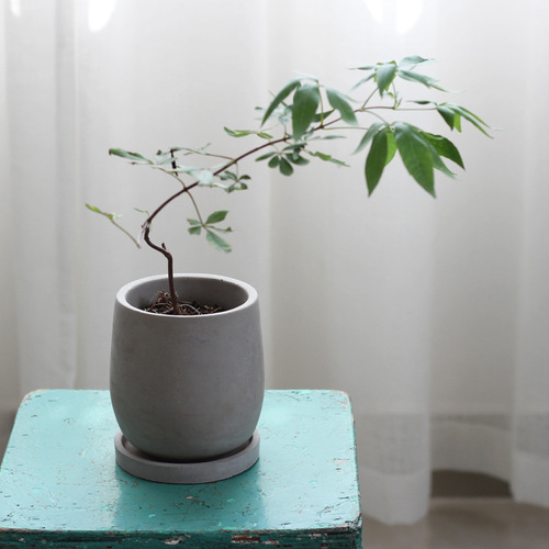 Round cement flower pot with personality, simple and creative succulent plant pot, elegant Zen style, Chinese style with tray
