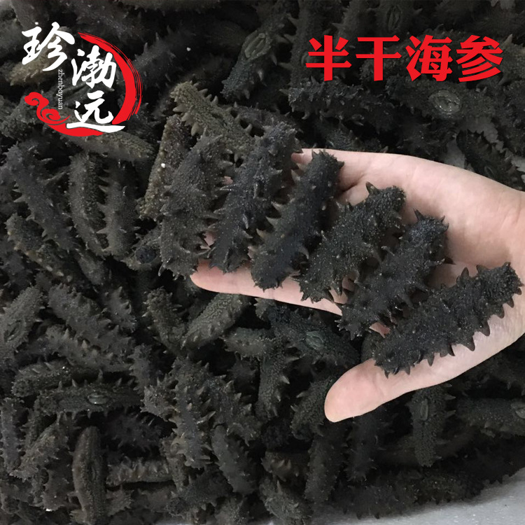 wholesale Dalian Semi dried sea cucumber Salted sea cucumber Pull cylinder salt sea cucumber Sea cucumber 26 Above 3 pounds sea cucumber