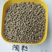 陶粒无土植栽多肉盆栽水装饰铺面吸水球覆盖陶土球