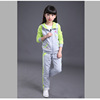 Autumn children's jacket, set, children's clothing, suitable for teen, suitable for import, 12 years