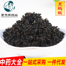 批发现货 黑蚂蚁 黄蚂蚁 红蚂蚁 虫类中药材大全 一件代发货 包邮