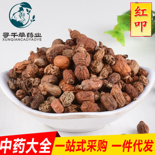 �ϵ����� �tߵ �t��ޢ ������ ���ϴ�ȫ���w�꽛�I�\�д��� ���]