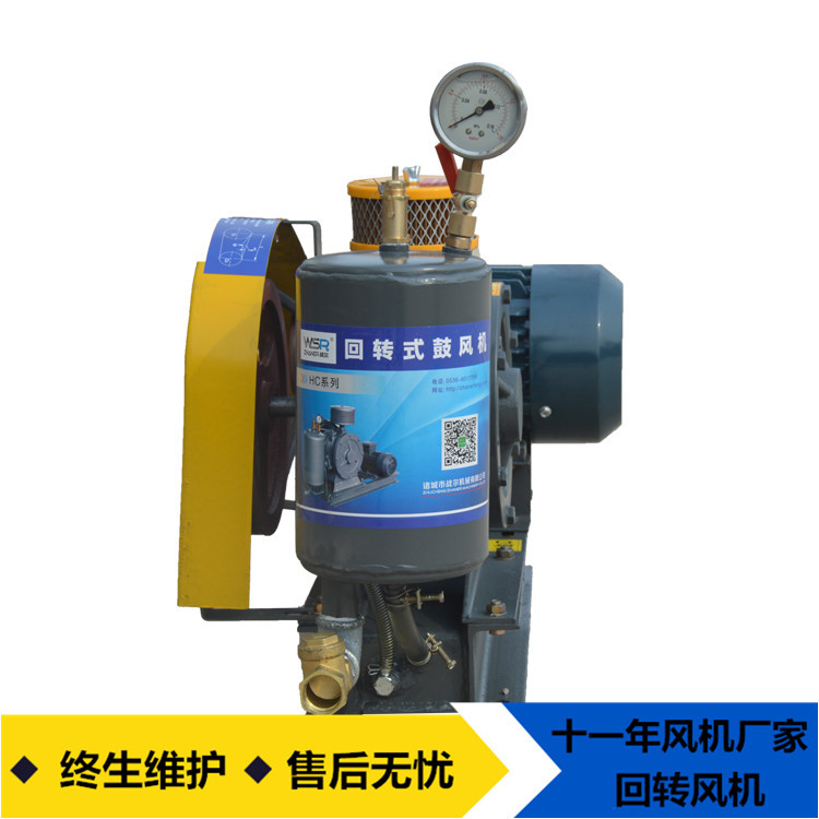 山东战尔回转式鼓风机 污水处理 曝气风机 低噪音 厂家直供 混批