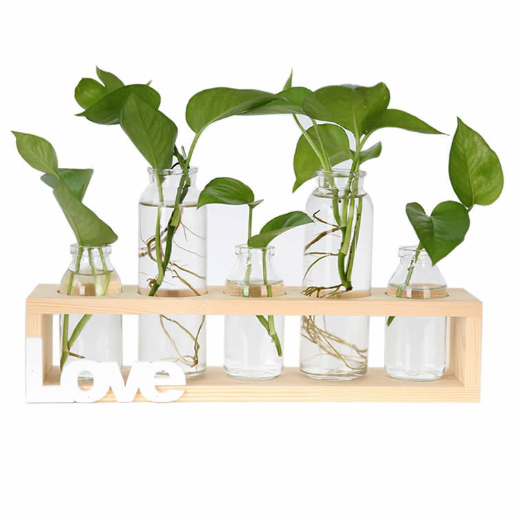 Soporte de madera creativo florero de vidrio hidropónico planta de rábano verde decoración de escritorio transparente Pequeño contenedor decoración de escritorio de oficina