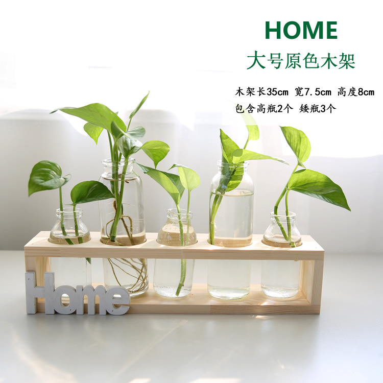 Soporte de madera creativo florero de vidrio hidropónico planta de rábano verde decoración de escritorio transparente Pequeño contenedor decoración de escritorio de oficina