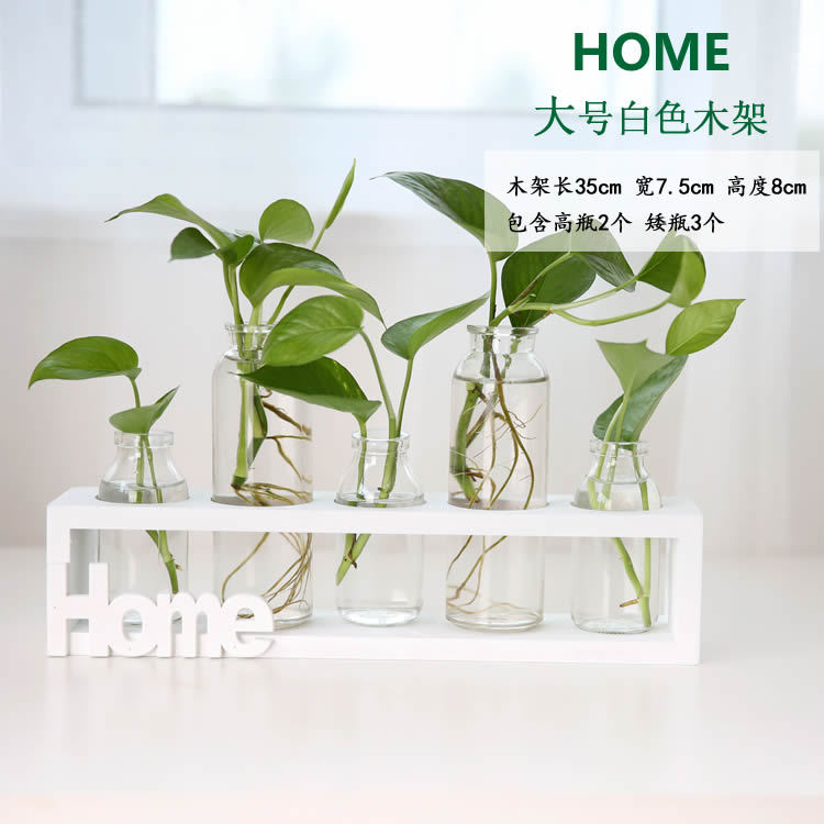 Soporte de madera creativo florero de vidrio hidropónico planta de rábano verde decoración de escritorio transparente Pequeño contenedor decoración de escritorio de oficina