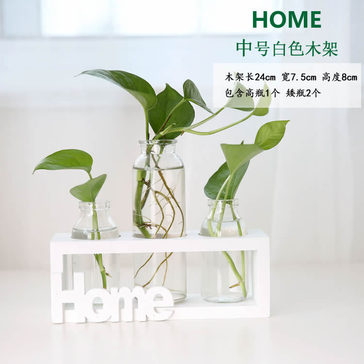 Soporte de madera creativo florero de vidrio hidropónico planta de rábano verde decoración de escritorio transparente Pequeño contenedor decoración de escritorio de oficina