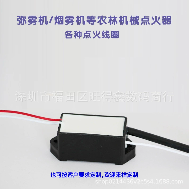 DC 20KV высоковольтный генератор импульсный дуговой импульсный высоковольтный пакет электростатический распылитель отрицательный ион