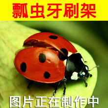 瓢虫牙刷架吸盘牙刷牙膏洗面奶收纳置物架浴室吸壁式牙具座批发