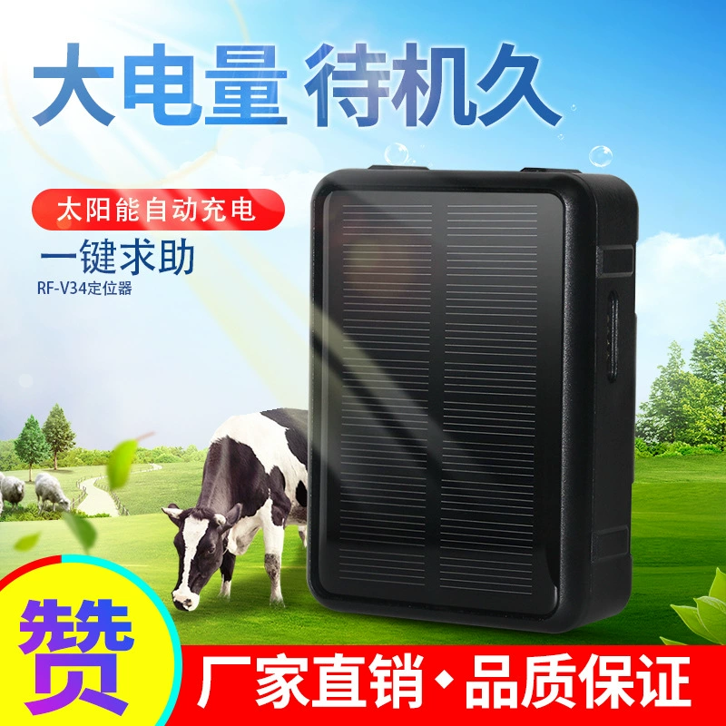 Трансграничный крупный рогатый скот и овца локатор чеканка GPS солнечная локатор