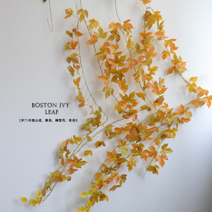 ������ɽ���b��ٗl �٘��~���� �ܵ��p�@�ٻ��ٵ�������~�����l