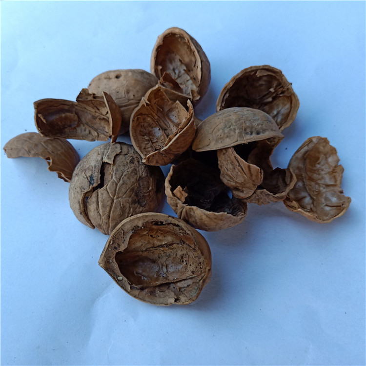 厂家直销果壳滤料 量大优惠 质量保证水油分离核桃壳