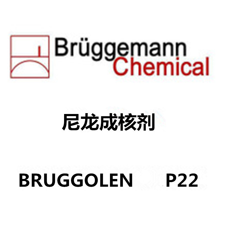 布吕格曼尼龙专用成核剂 BRUGGOLEN  P22 尼龙专用成核剂P22