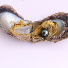 ���Q��ˮ����� ��հ��b �ȷN����ˮ�����A�����ɫ���鹩���l