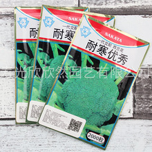 �ձ������ͺ������໨�˷N���������m���N���ļ��͟Ό����Ҭ����