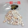 001 Supply Beihai Pearl Beckham Vacuum Package Pearl Small Claus One Musch One Foreign Trade Beckham