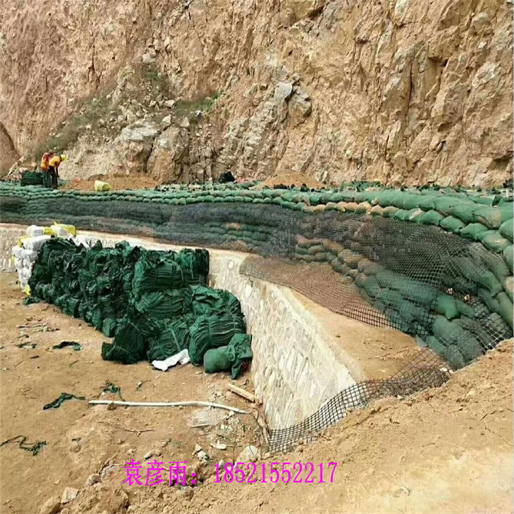 生态草种袋河道修复植草袋土工无纺布袋子山坡防洪袋生态袋现货