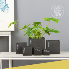 Chaozhou manufacturers wholesale succulent flower pots black square potted succulent flower pots breathable succulent cement pots