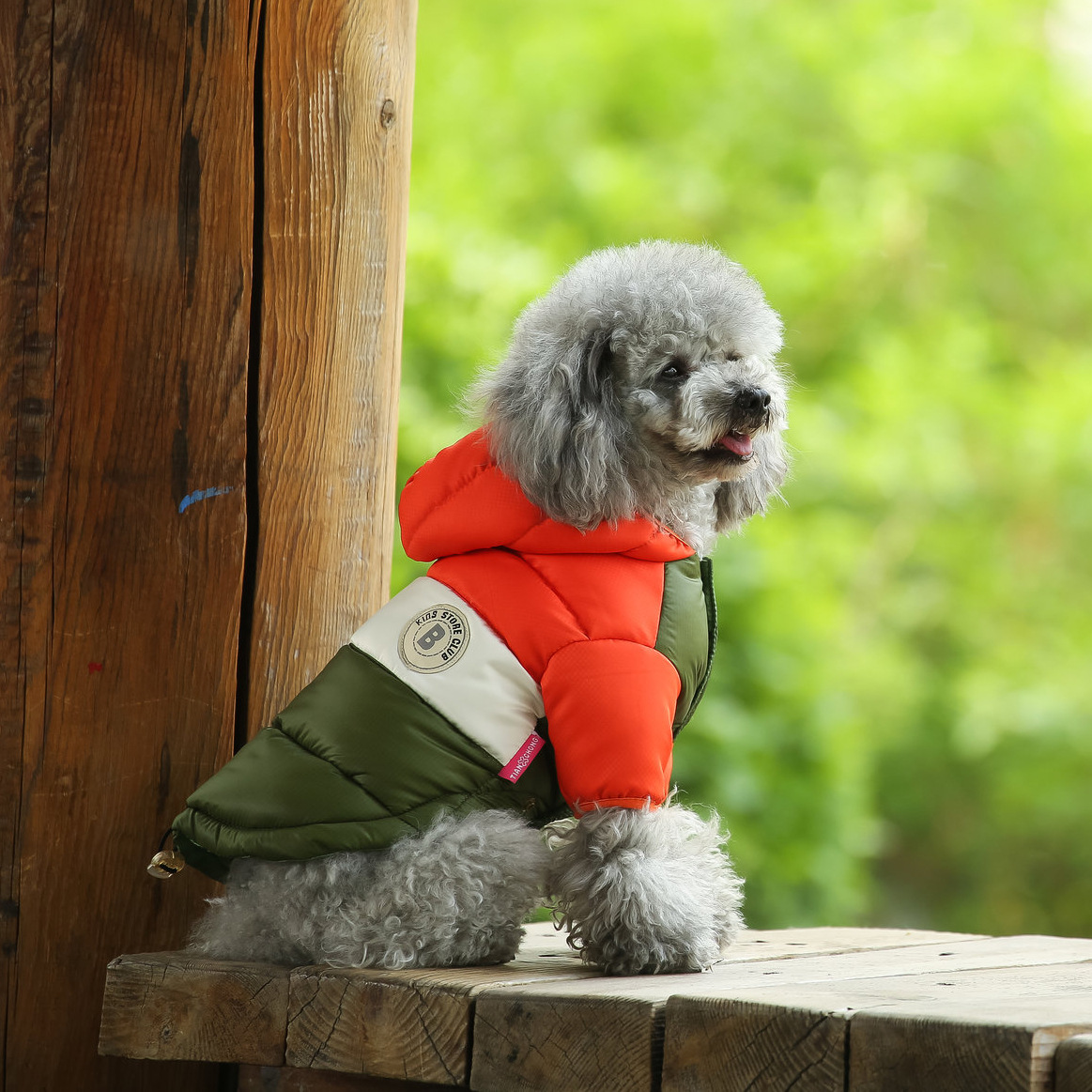 Tian pet dog down cotton vest Teddy Pomeranian warm wind vest two-leg clothes cat winter cotton coat