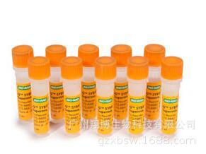 iQ SYBR Green Supermix, 10 x 1.25 ml 1708882