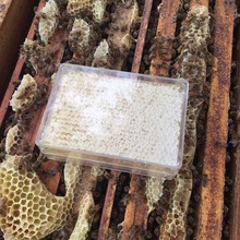 �䳲��250g���b ������w��ԭ���� �䳲���r�����خa