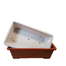 �S�ҹ�������N�� �@�� ��ͥ�ˈ@ �N�˷N�������ϲ���