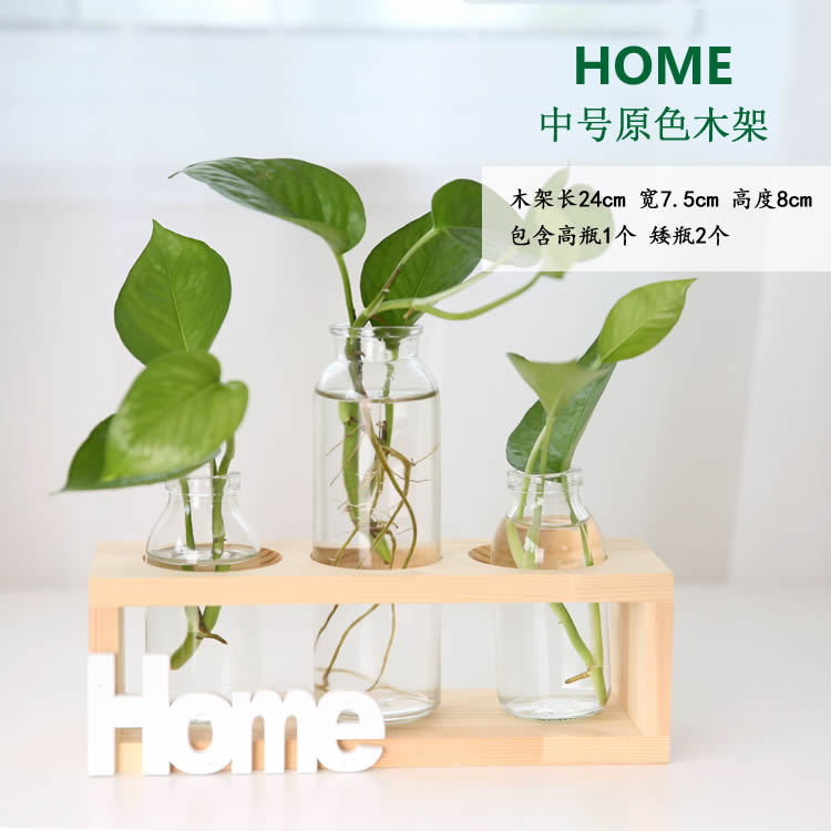 Soporte de madera creativo florero de vidrio hidropónico planta de rábano verde decoración de escritorio transparente Pequeño contenedor decoración de escritorio de oficina